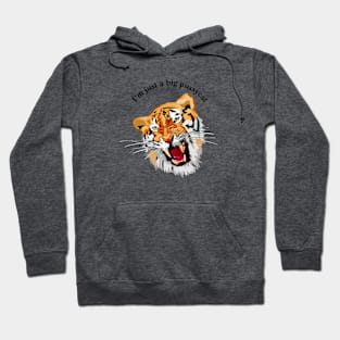 Big Pussycat Hoodie